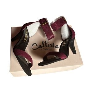 Callisto Burgundy Ankle Strap Heels